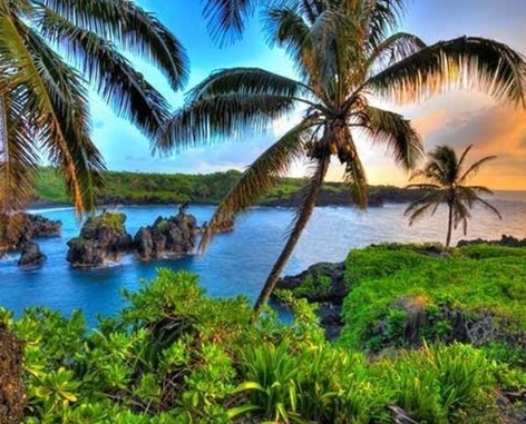 Hawaii: Daily Car Rentals From Honolulu