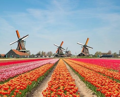 8-Night Holland & Belgium River Cruise on All-New Ship w/Tips, WiFi, Drinks & More